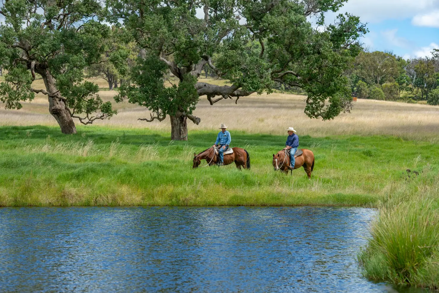 Main view of Homely rural property listing, 5966 Mount Lindesay Road, Liston NSW 2372