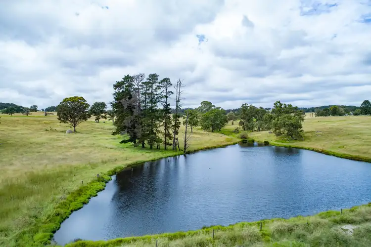 Fourth view of Homely rural property listing, 5966 Mount Lindesay Road, Liston NSW 2372