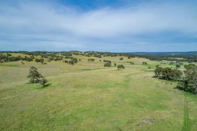Sixth view of Homely rural property listing, 5966 Mount Lindesay Road, Liston NSW 2372