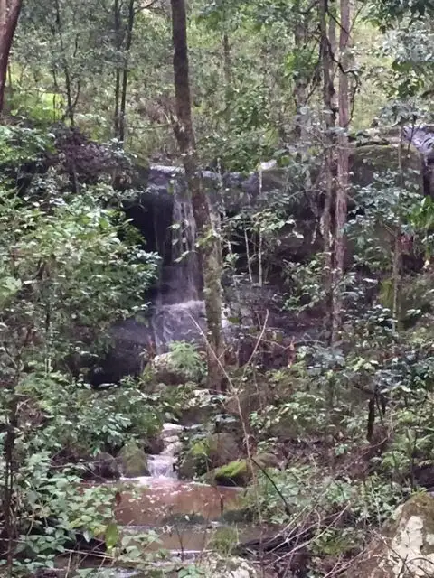 Main view of Homely rural property listing, Address available on request