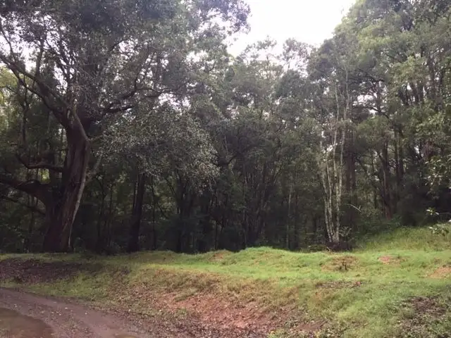 Third view of Homely rural property listing, Address available on request