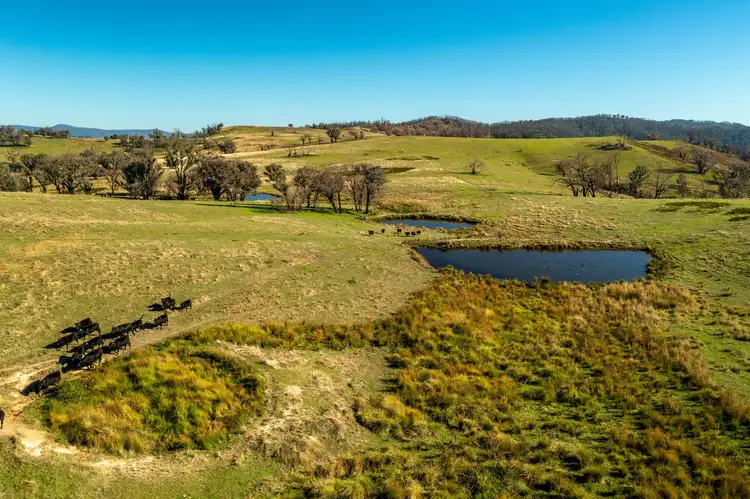 Second view of Homely rural property listing, 1066 Munderoo Ournie Road, Ournie via, Jingellic NSW 2642