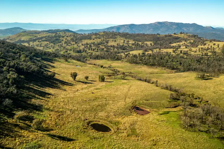 Seventh view of Homely rural property listing, 1066 Munderoo Ournie Road, Ournie via, Jingellic NSW 2642