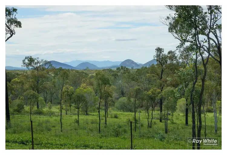 Fifth view of Homely house listing, 142 Caporn Road, Limestone Creek QLD 4701