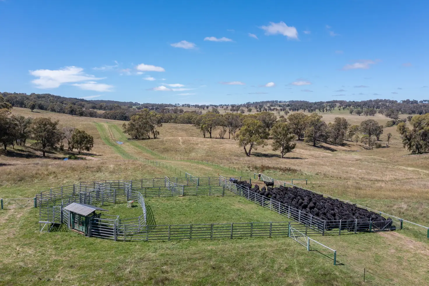 Main view of Homely rural property listing, 479 Whans Road, Llangothlin NSW 2365