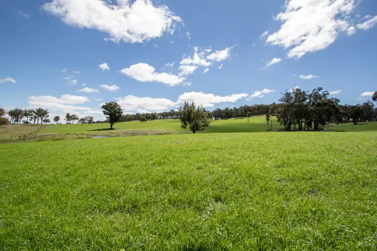 Third view of Homely rural property listing, 479 Whans Road, Llangothlin NSW 2365