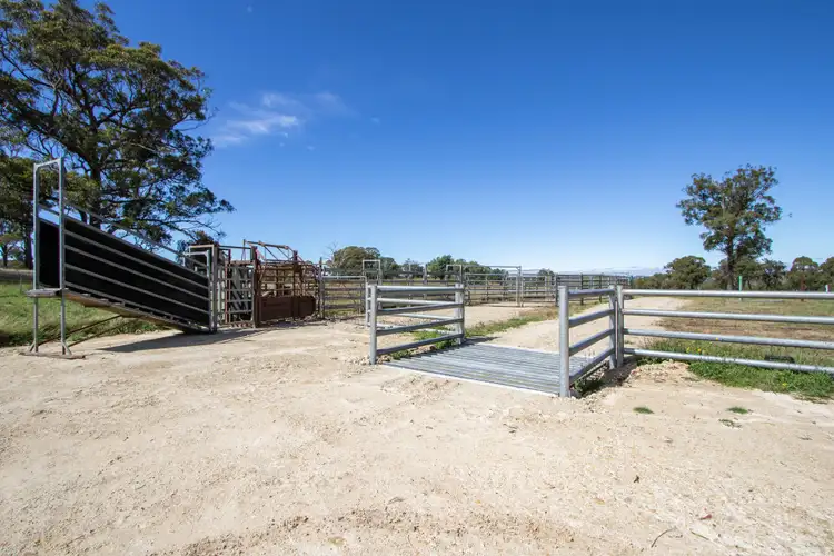 Fourth view of Homely rural property listing, 479 Whans Road, Llangothlin NSW 2365