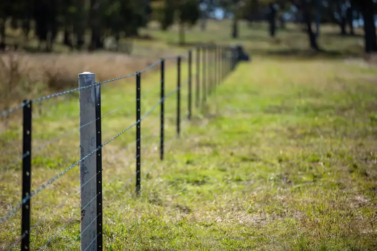 Fifth view of Homely rural property listing, 479 Whans Road, Llangothlin NSW 2365