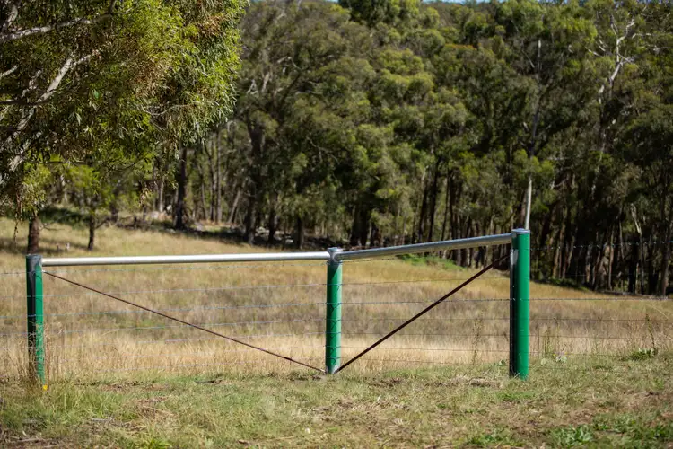 Sixth view of Homely rural property listing, 479 Whans Road, Llangothlin NSW 2365