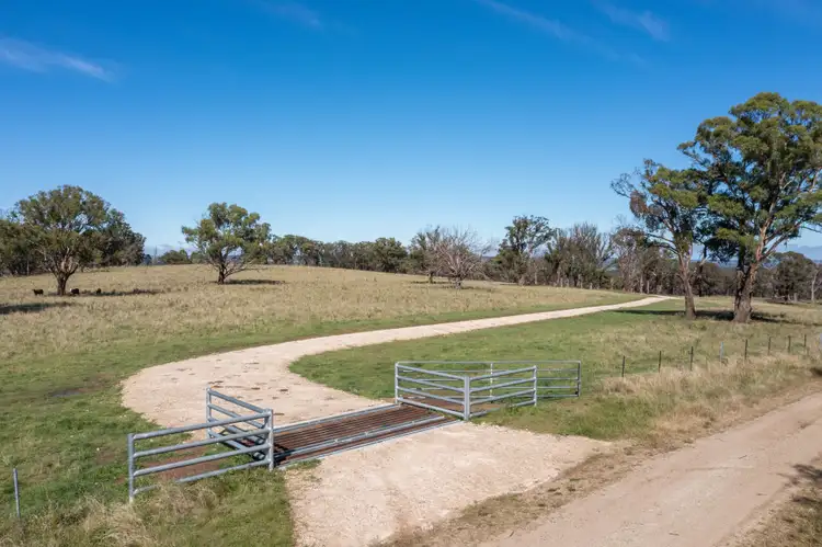 Seventh view of Homely rural property listing, 479 Whans Road, Llangothlin NSW 2365