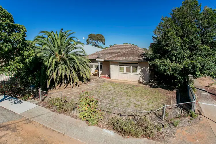 Main view of Homely house listing, 54 York Avenue, Clovelly Park SA 5042