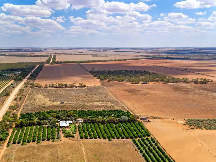 Fifth view of Homely rural property listing, 'Drogemullers ', Drogemuller Road, Moorook South SA 5332