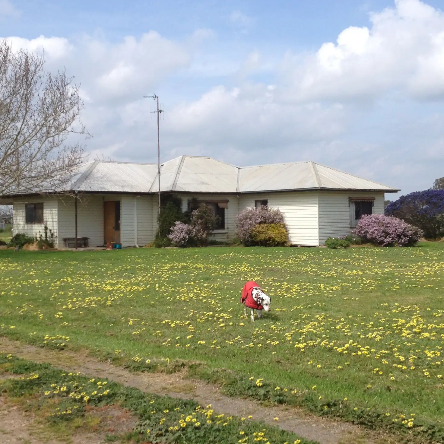 Main view of Homely house listing, 1075 Craven Road, Toolamba VIC 3614