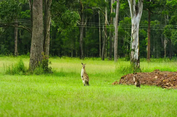 Fifth view of Homely land listing, 9/165 John Oxley Drive, Port Macquarie NSW 2444