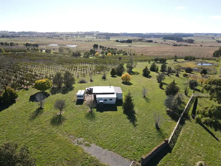 Second view of Homely rural property listing, 864 Vittoria Road, Guyong NSW 2798