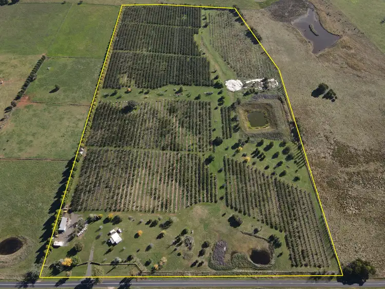 Third view of Homely rural property listing, 864 Vittoria Road, Guyong NSW 2798