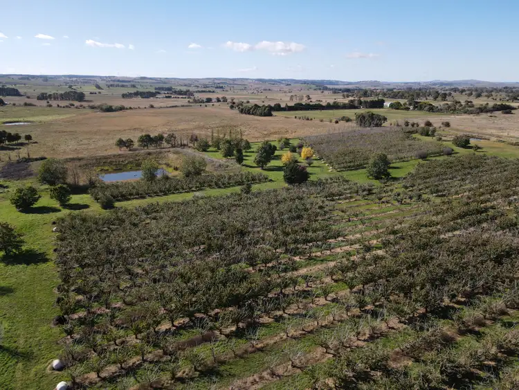 Fifth view of Homely rural property listing, 864 Vittoria Road, Guyong NSW 2798