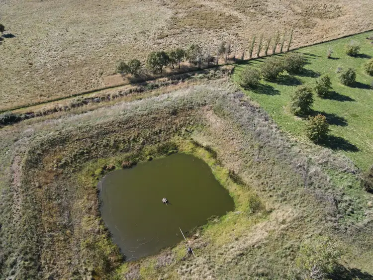 Sixth view of Homely rural property listing, 864 Vittoria Road, Guyong NSW 2798