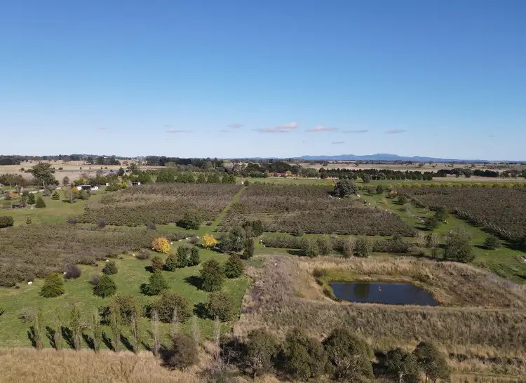 Seventh view of Homely rural property listing, 864 Vittoria Road, Guyong NSW 2798