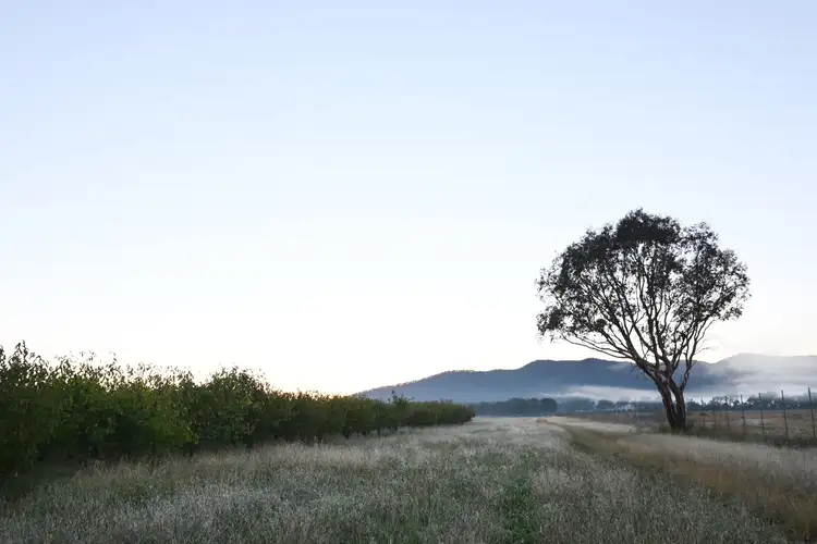 55 George Campbell Drive, Mudgee NSW 2850