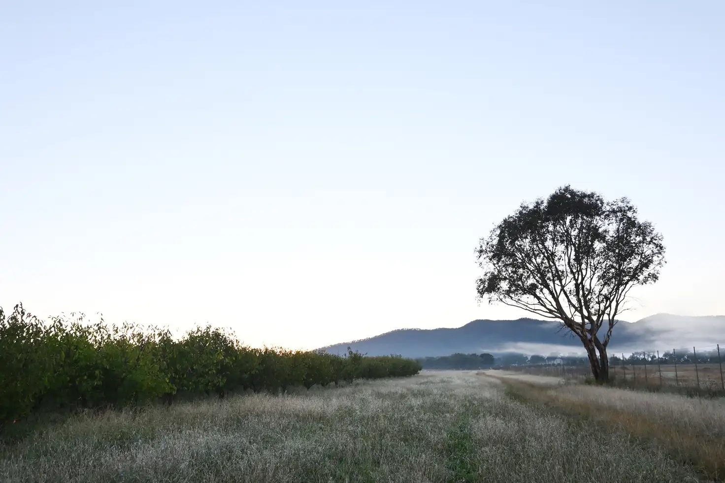 Main view of Homely rural property listing, 55 George Campbell Drive, Mudgee NSW 2850