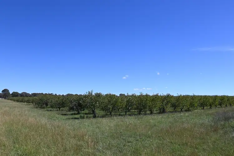 Second view of Homely rural property listing, 55 George Campbell Drive, Mudgee NSW 2850
