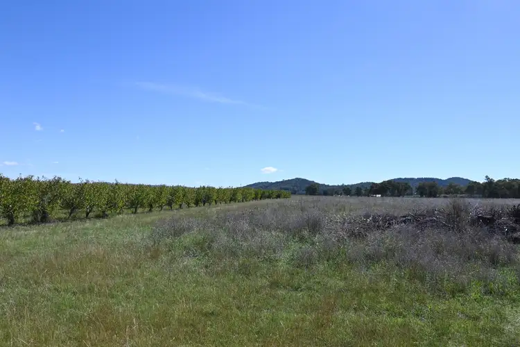 Third view of Homely rural property listing, 55 George Campbell Drive, Mudgee NSW 2850
