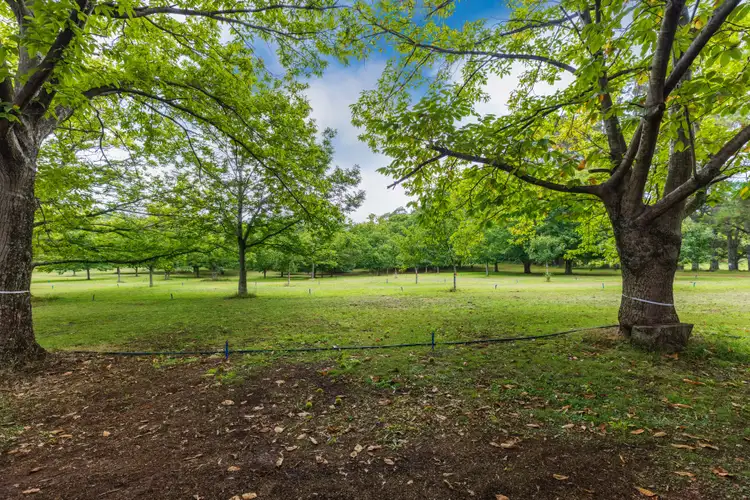 Third view of Homely rural property listing, 4281 Braidwood Road, Sassafras NSW 2622