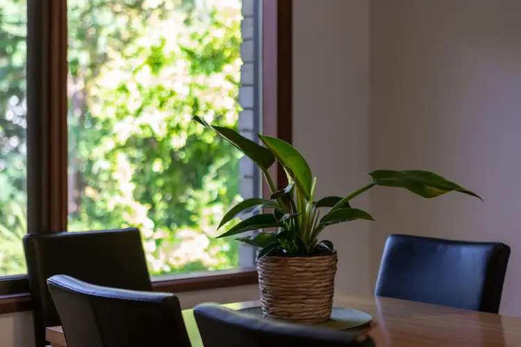 Sixth view of Homely house listing, 35 Tytherleigh Street, Wanniassa ACT 2903