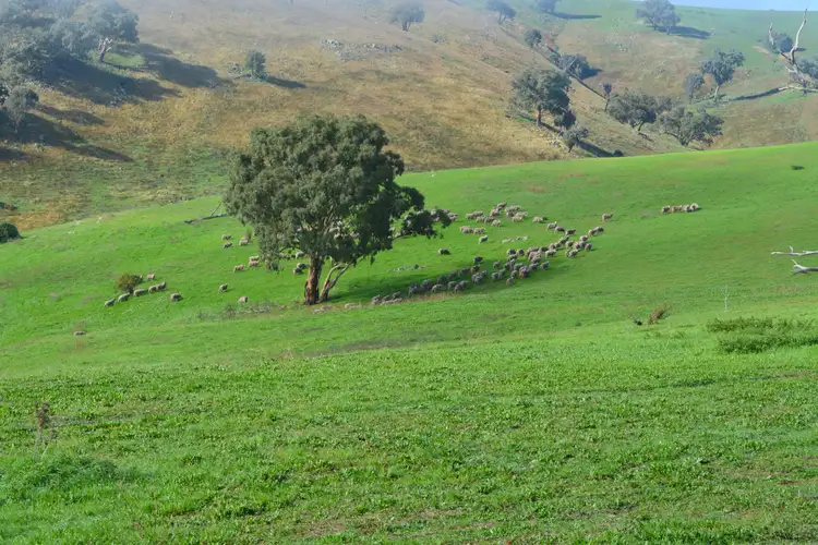 Blackmans Creek Road, Bigga Via Crookwell, Crookwell NSW 2583