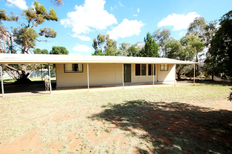 52 Ohlmeyer Road, Waikerie SA 5330