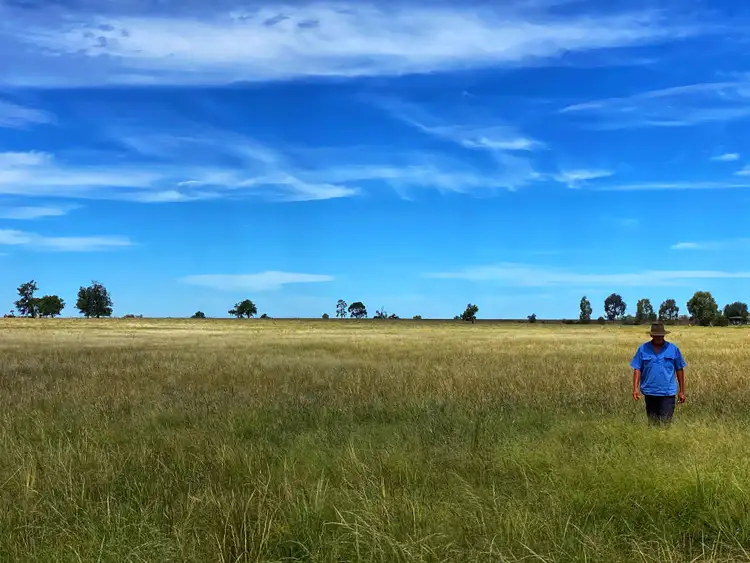 Sixth view of Homely rural property listing, 'Boomi' 211 Larkings Road, Tottenham NSW 2873