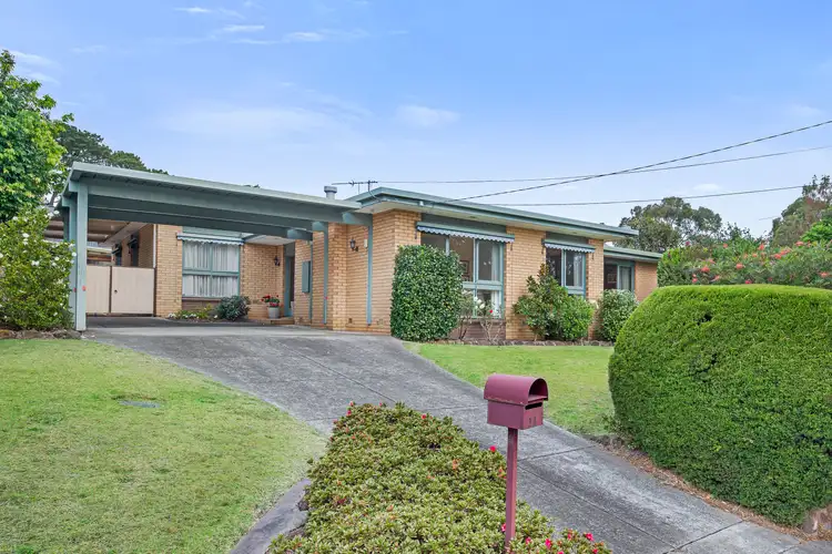 Main view of Homely house listing, 11 Carramar Court, Vermont VIC 3133