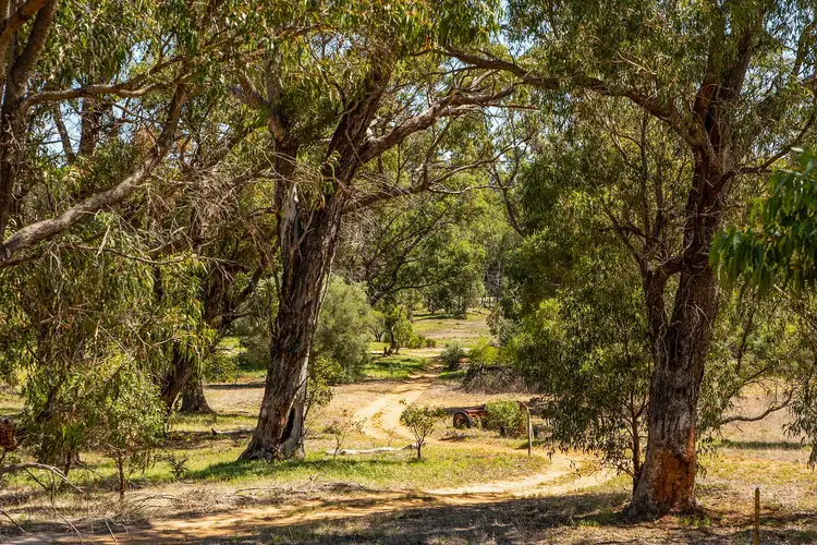 80 Gibbs Road, Nowergup WA 6032