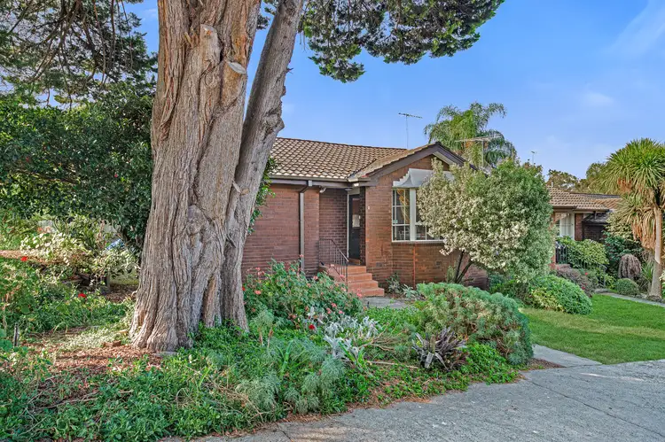 1/6-8 Queens Parade, Ashwood VIC 3147