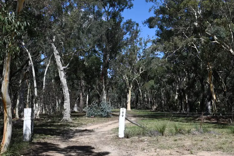Second view of Homely rural property listing, 199 Nangawooka Road, Mudgee NSW 2850