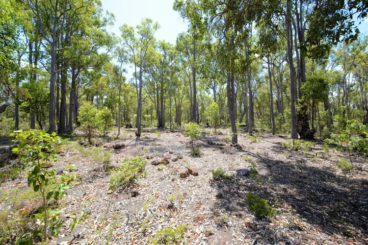 Second view of Homely rural property listing, 225 Johnston Road, Nannup WA 6275