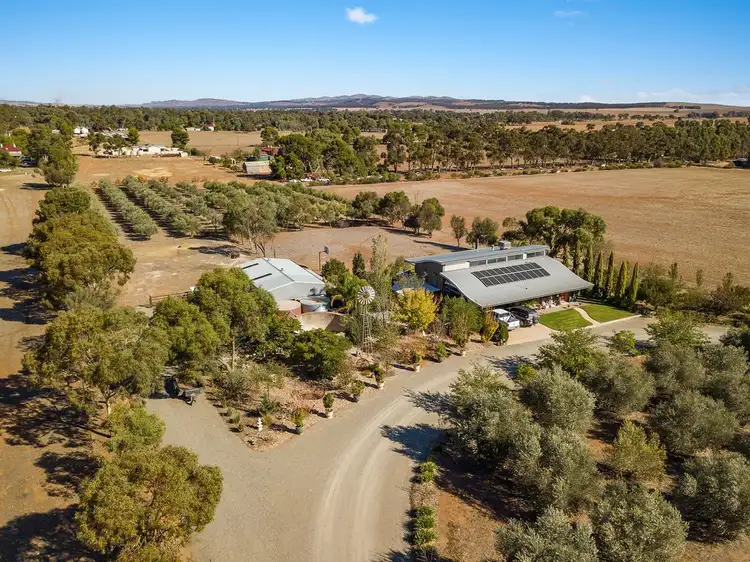Third view of Homely house listing, 19 Wenhams Road, Jamestown SA 5491