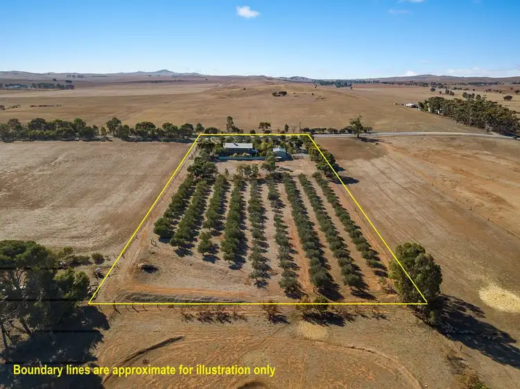 Fifth view of Homely house listing, 19 Wenhams Road, Jamestown SA 5491