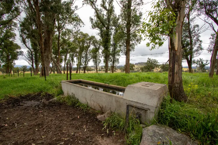 Seventh view of Homely rural property listing, 131 Brennan Road, Enmore NSW 2350