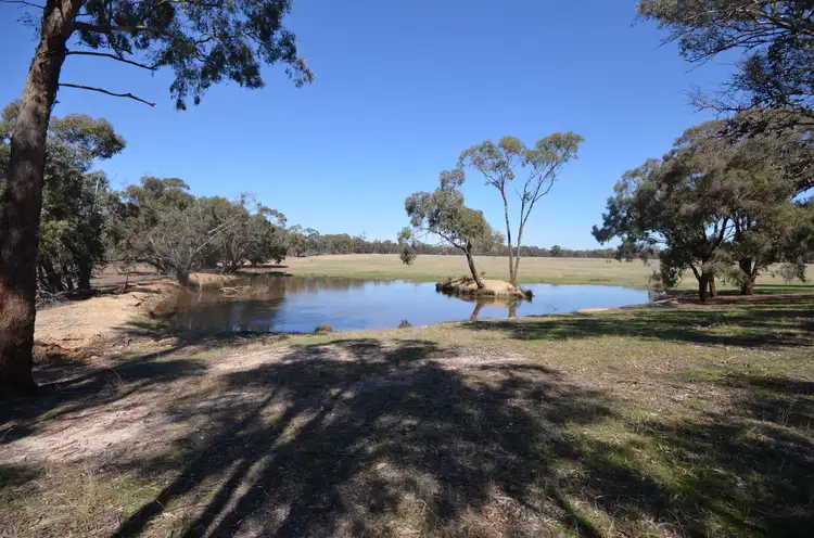 Main view of Homely rural property listing, 463 Avoca-Greenhill Creek Road, Amphitheatre VIC 3468