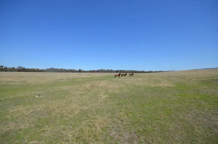 Third view of Homely rural property listing, 463 Avoca-Greenhill Creek Road, Amphitheatre VIC 3468