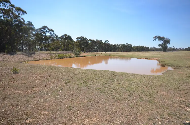Sixth view of Homely rural property listing, 463 Avoca-Greenhill Creek Road, Amphitheatre VIC 3468