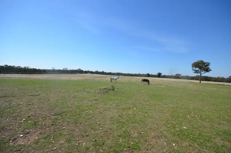 Seventh view of Homely rural property listing, 463 Avoca-Greenhill Creek Road, Amphitheatre VIC 3468
