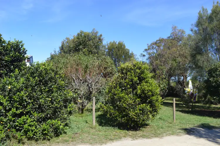 Seventh view of Homely rural property listing, 11 Blands Road, Yarram VIC 3971
