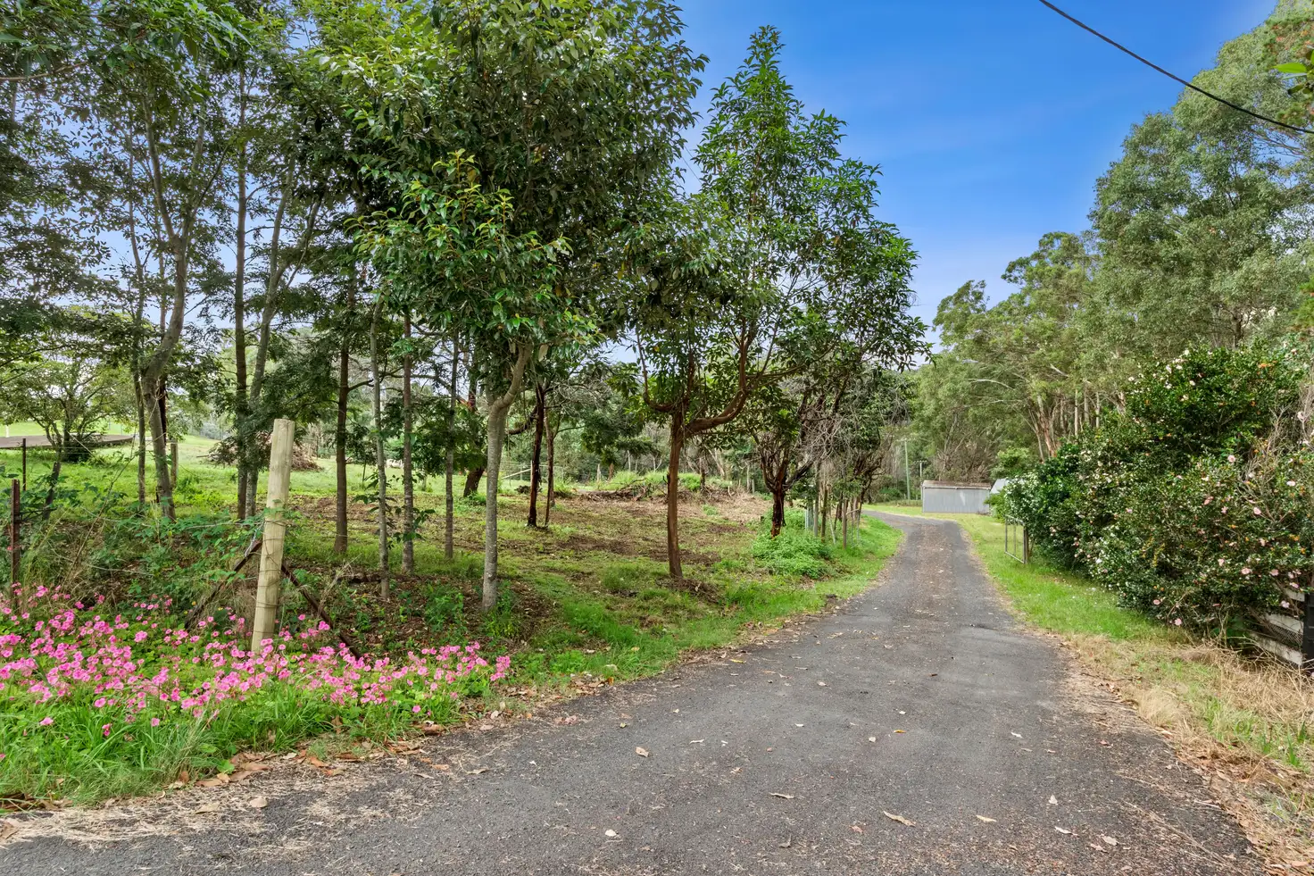 Main view of Homely house listing, 589 Grose Vale Road, Grose Vale NSW 2753