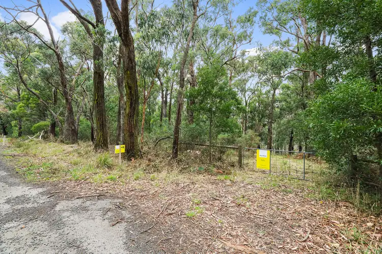 Second view of Homely land listing, 423 Tyers-Walhalla Road, Tyers VIC 3844