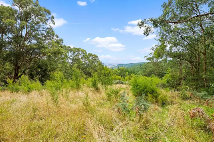Fourth view of Homely land listing, 423 Tyers-Walhalla Road, Tyers VIC 3844