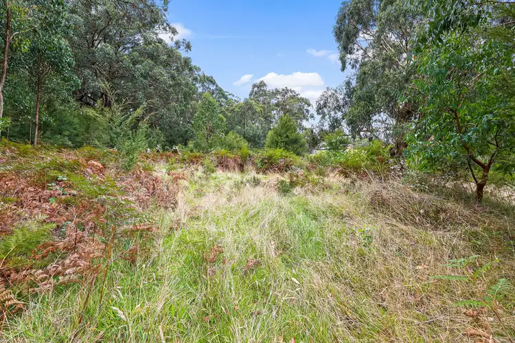 Fifth view of Homely land listing, 423 Tyers-Walhalla Road, Tyers VIC 3844