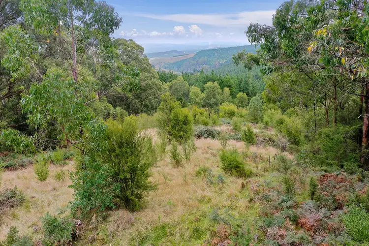 Seventh view of Homely land listing, 423 Tyers-Walhalla Road, Tyers VIC 3844